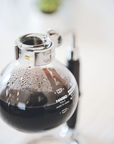 HARIO TCA-3 Technica Syphon