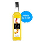 Sirop Mangue Épicée 1L - 1883